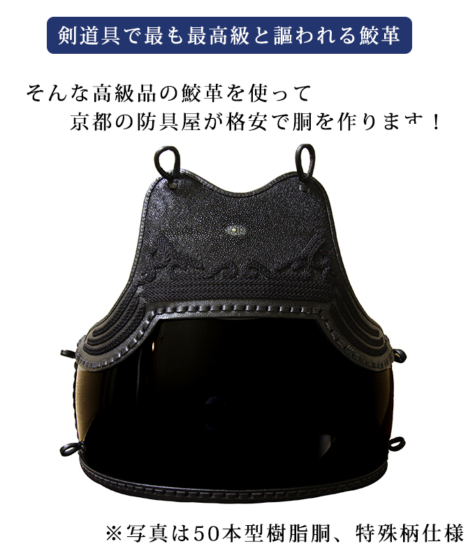 サメ胸胴（鮫胸胴） ５０本型樹脂胴 特注品 | 剣道防具工房「源」
