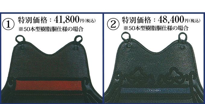 剣道胴　50本型樹脂胴　未使用品 一般用 『心』胴単品 50本型樹脂胴(ミツボシ) – BUSHIZO