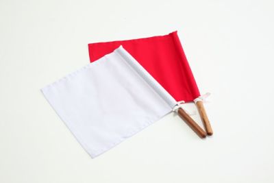 剣道用審判旗 紅白セット【個人向・剣道具・練習・試合用品・名彫 